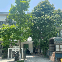 SÀN GỖ GÕ VÀNG LÀO ĐẸP NHẸ NHÀNG, THANH LỊCH TẠI BIỆT THỰ PARKCITY