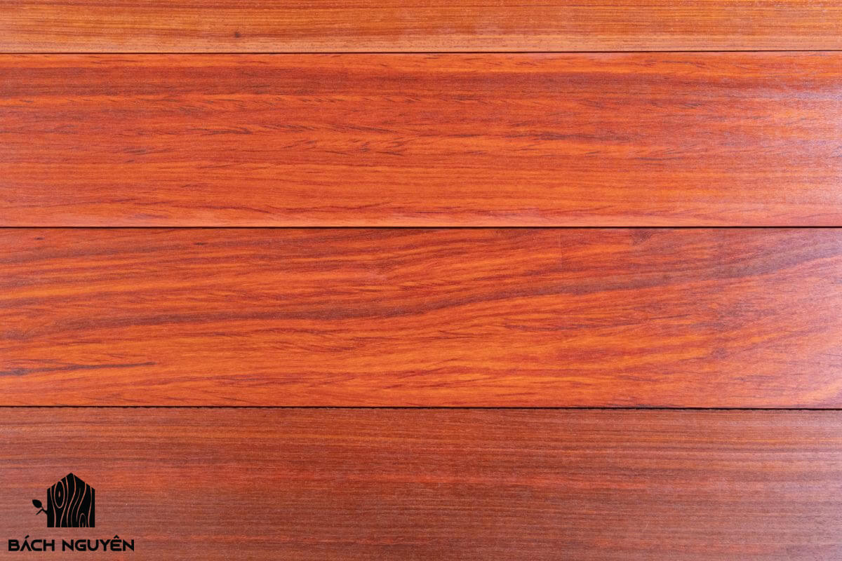 Sàn gỗ Hương Đỏ Nam Phi - Báo giá sàn gỗ Hương Nam Phi