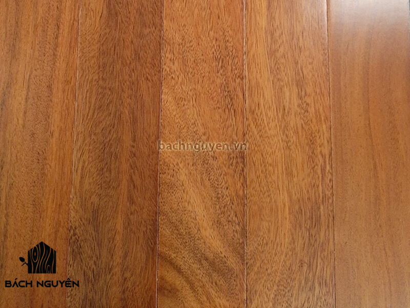 Ván sàn gỗ Lim Nam Phi chất lượng