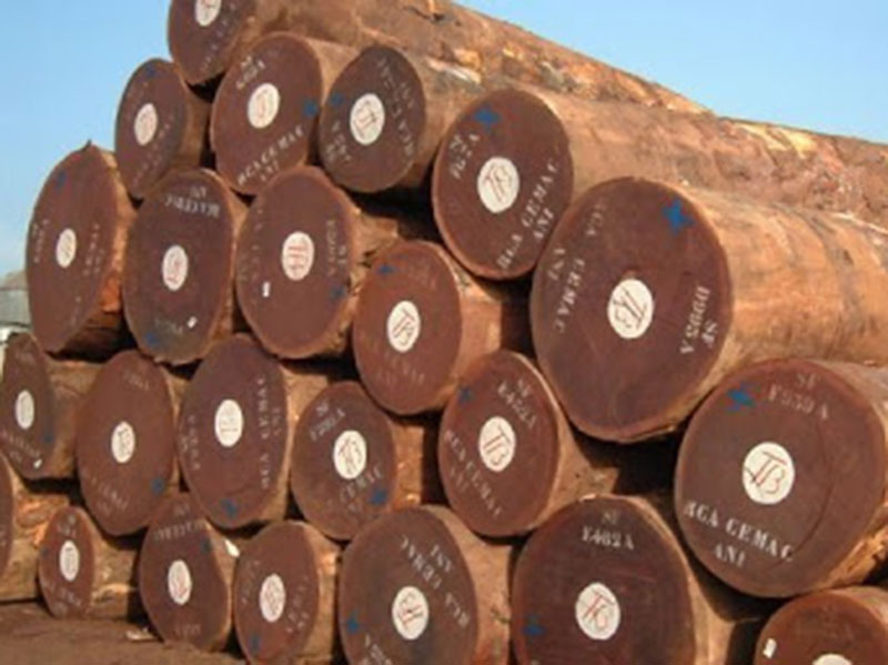 cách chọn gỗ Lim nam Phi