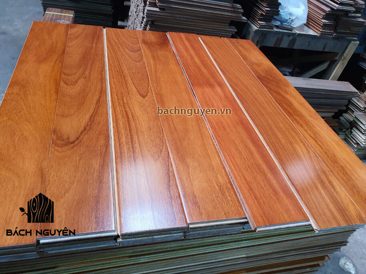 Sàn gỗ tự nhiên và sàn gỗ công nghiệp cái nào tốt hơn