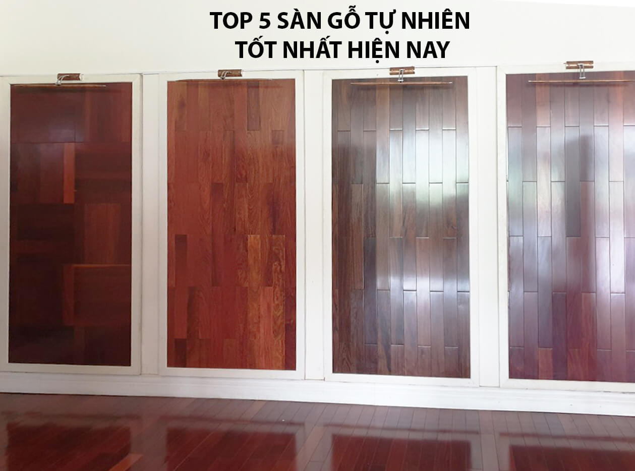 Top 5 sàn gỗ tự nhiên được yêu thích nhất năm 2019